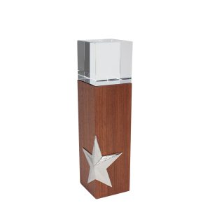 Trofeo de Madera y Cristal ?Silver Star?