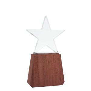 Trofeo de Madera y Cristal ?Lonely Star?